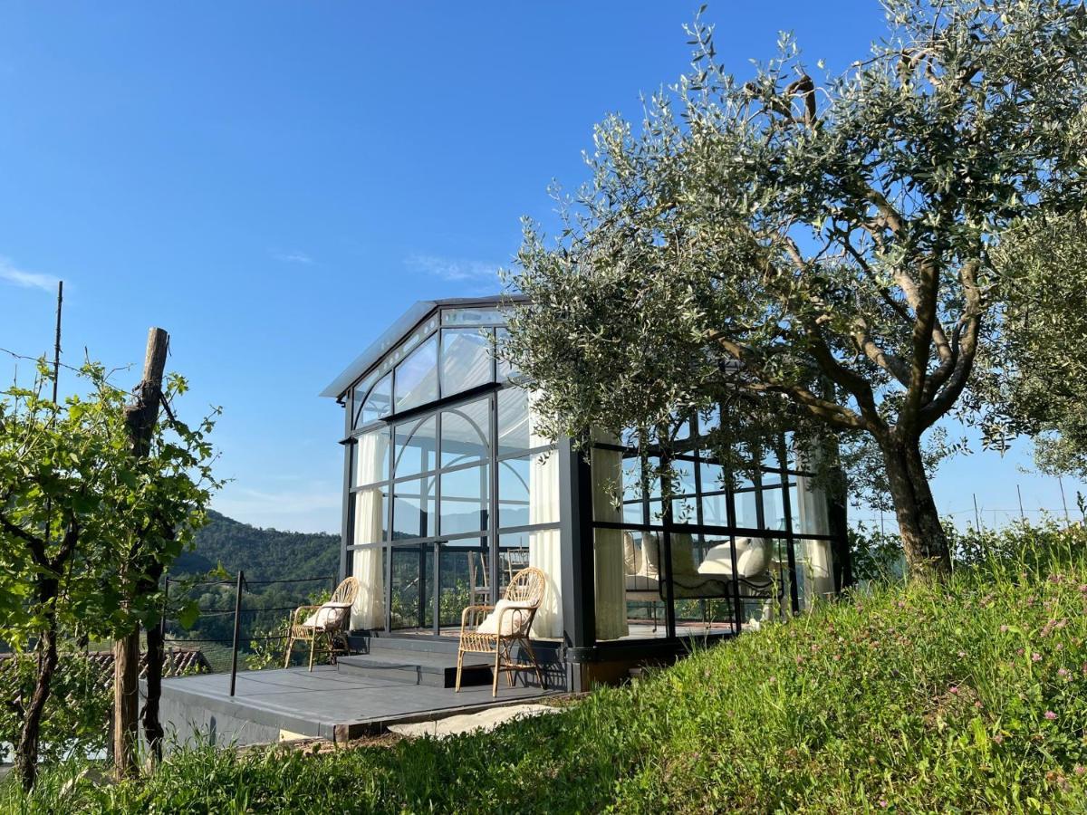 Agriturismo Il Conte Vassallo Miane Ngoại thất bức ảnh