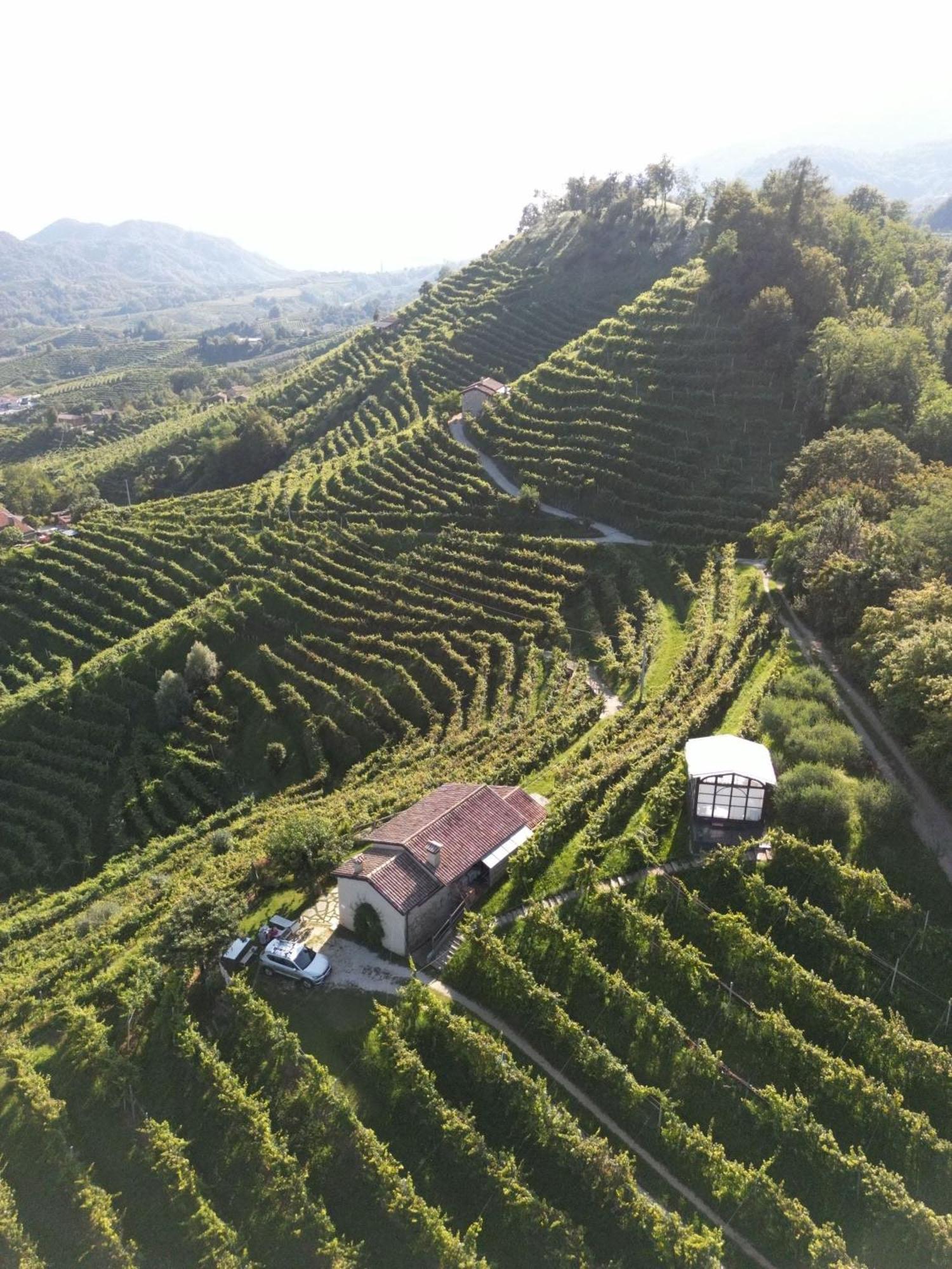 Agriturismo Il Conte Vassallo Miane Ngoại thất bức ảnh